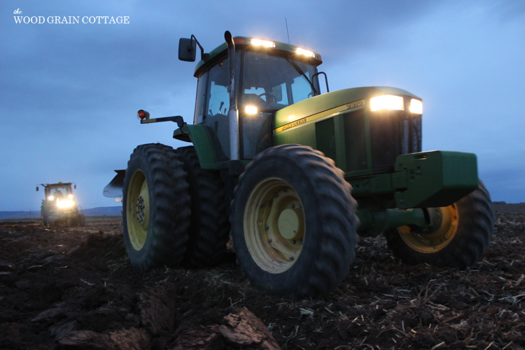 Night Farming | The Wood Grain Cottage