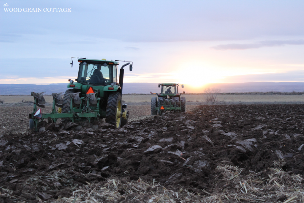 Night Farming | The Wood Grain Cottage