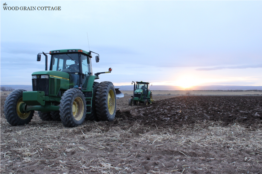 Night Farming | The Wood Grain Cottage