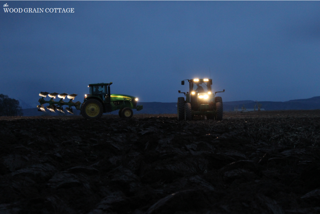 Night Farming | The Wood Grain Cottage