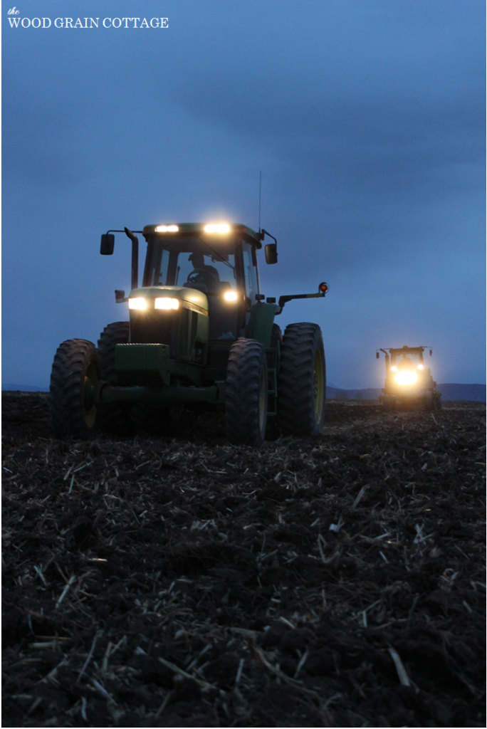 Night Farming | The Wood Grain Cottage