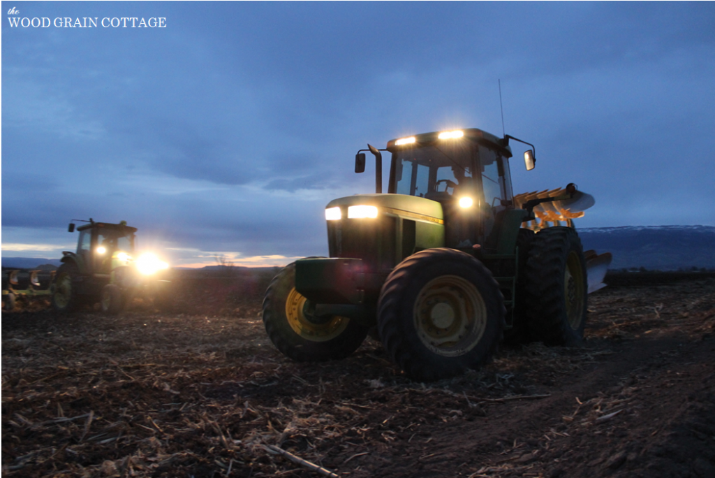 Night Farming | The Wood Grain Cottage