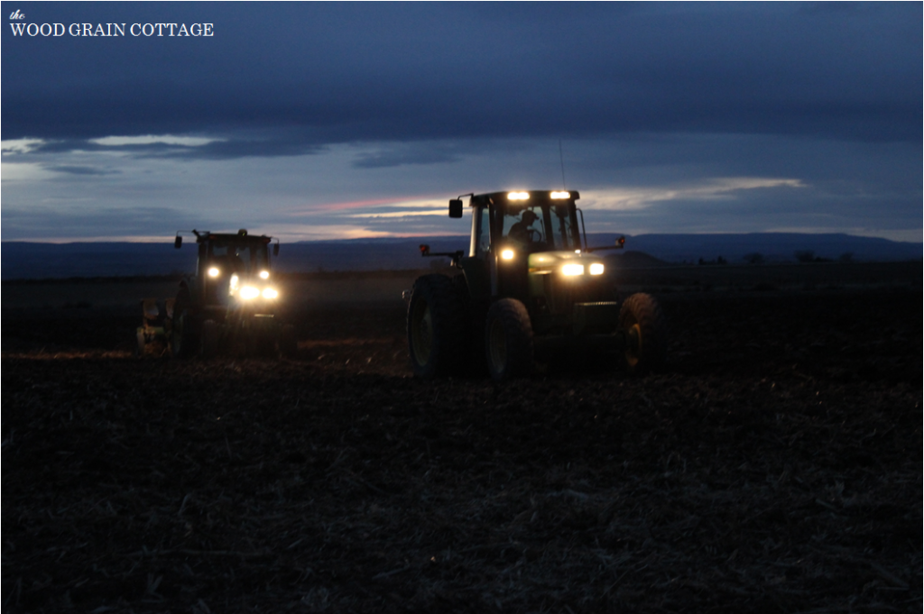 Night Farming | The Wood Grain Cottage