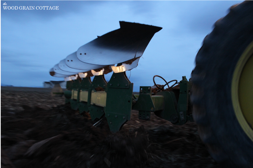 Night Farming | The Wood Grain Cottage