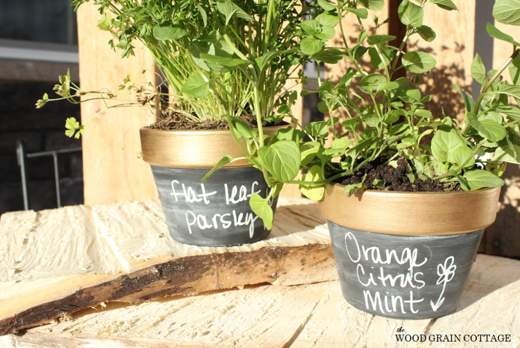 Gold Rimmed Chalkboard Pot by The Wood Grain Cottage