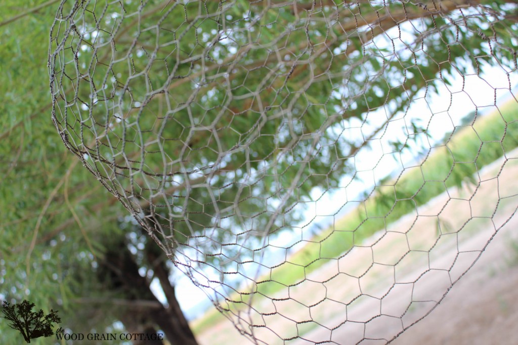 Farmhouse Light with Chicken Wire by The Wood Grain Cottage