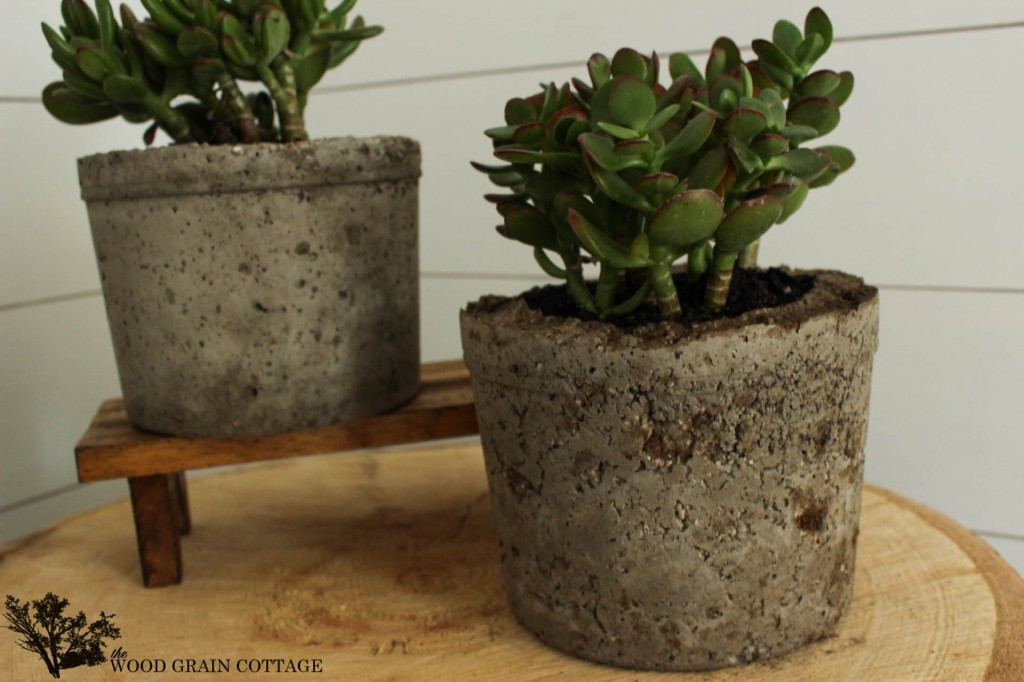 Concrete Pots by The Wood Grain Cottage