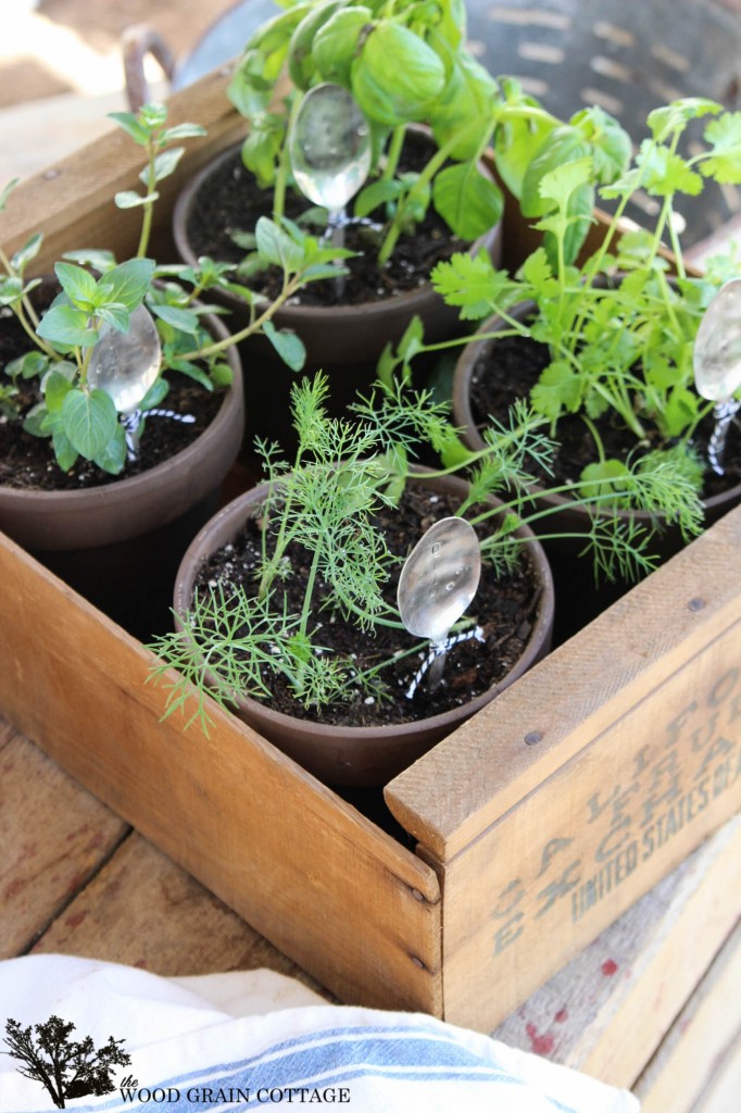 Fruit Crate Herb Garden by The Wood Grain Cottage