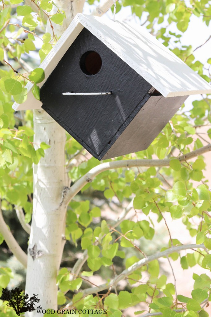 Bird House Makeover. Full tutorial by The Wood Grain Cottage