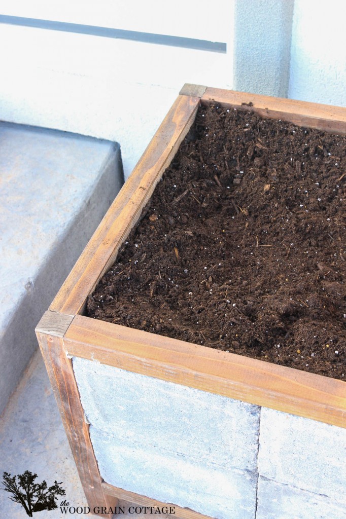 How to make a paver planter. Full tutorial by The Wood Grain Cottage