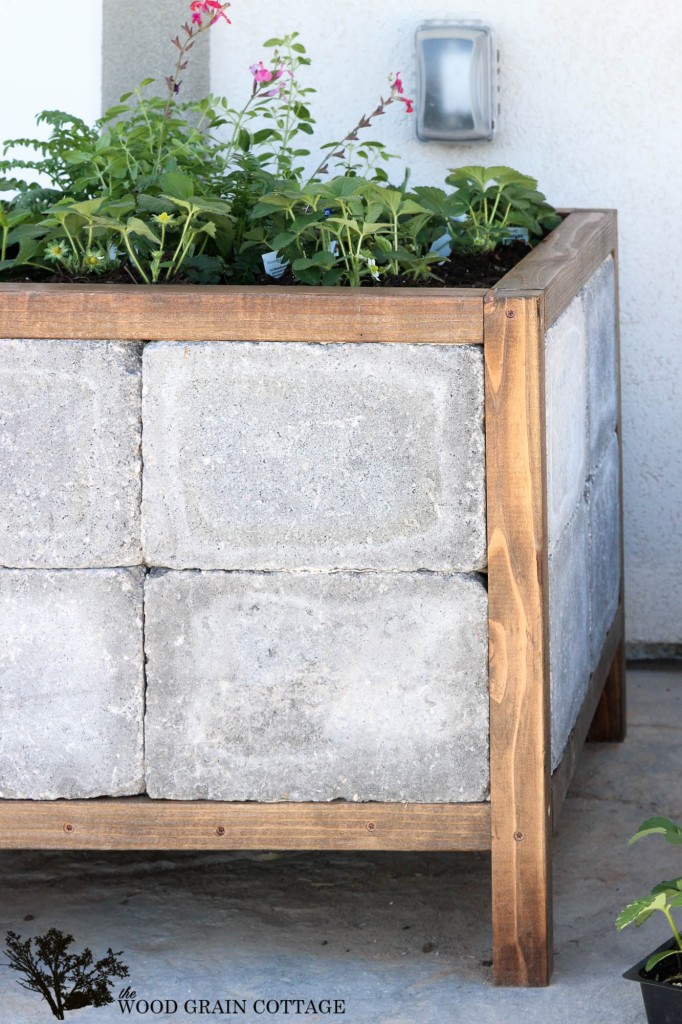 How to make a paver planter. Full tutorial by The Wood Grain Cottage