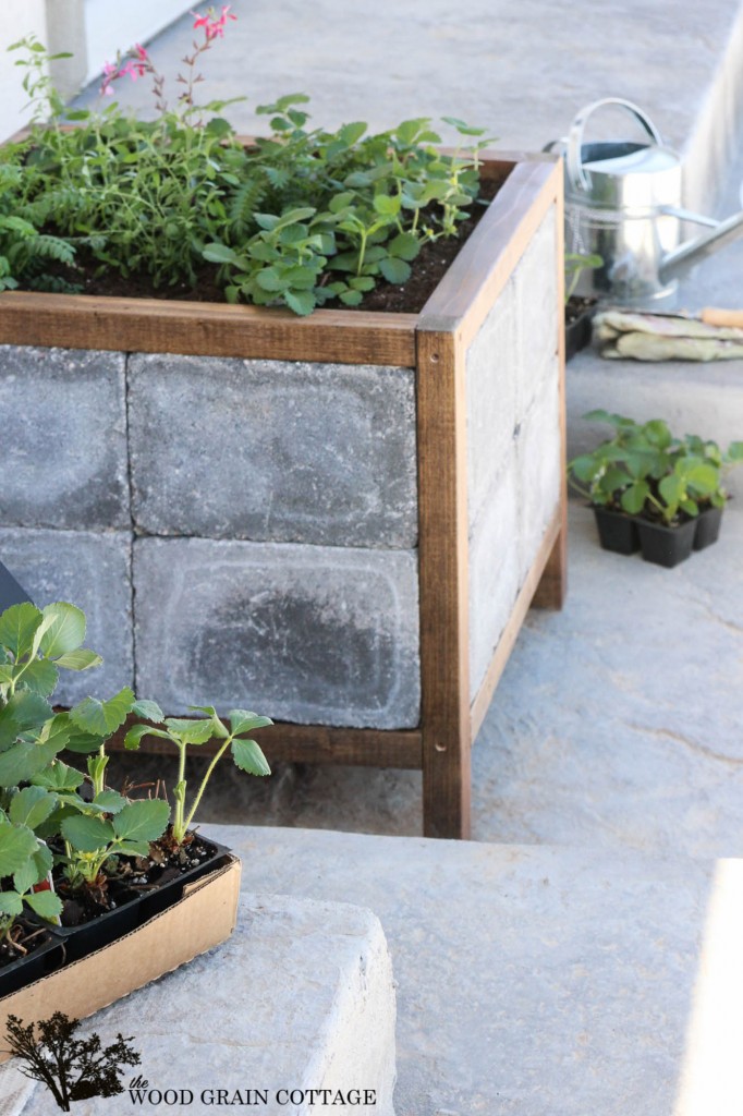 How to make a paver planter. Full tutorial by The Wood Grain Cottage