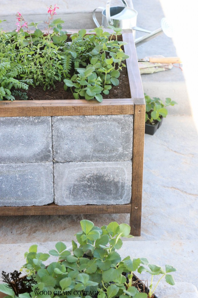 How to make a paver planter. Full tutorial by The Wood Grain Cottage