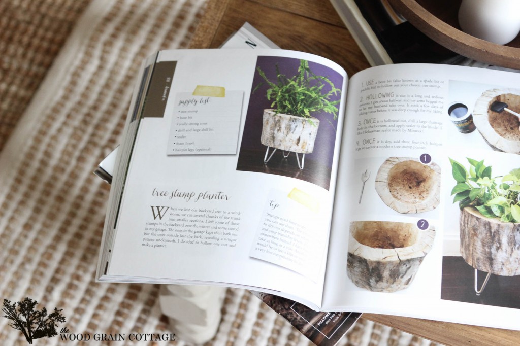 Natural Accents Book Review by The Wood Grain Cottage