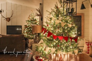Christmas Tree Night Tour by The Wood Grain Cottage