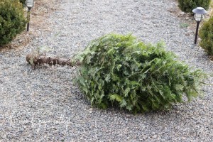 How To Make a Real Garland by The Wood Grain Cottage