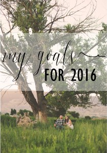 My Goals for 2016 by The Wood Grain Cottage