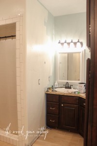 New Paint In The Master Bathroom by The Wood Grain Cottage