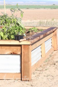 How To Build Garden Boxes From Recycled Tin Roofing by The Wood Grain Cottage