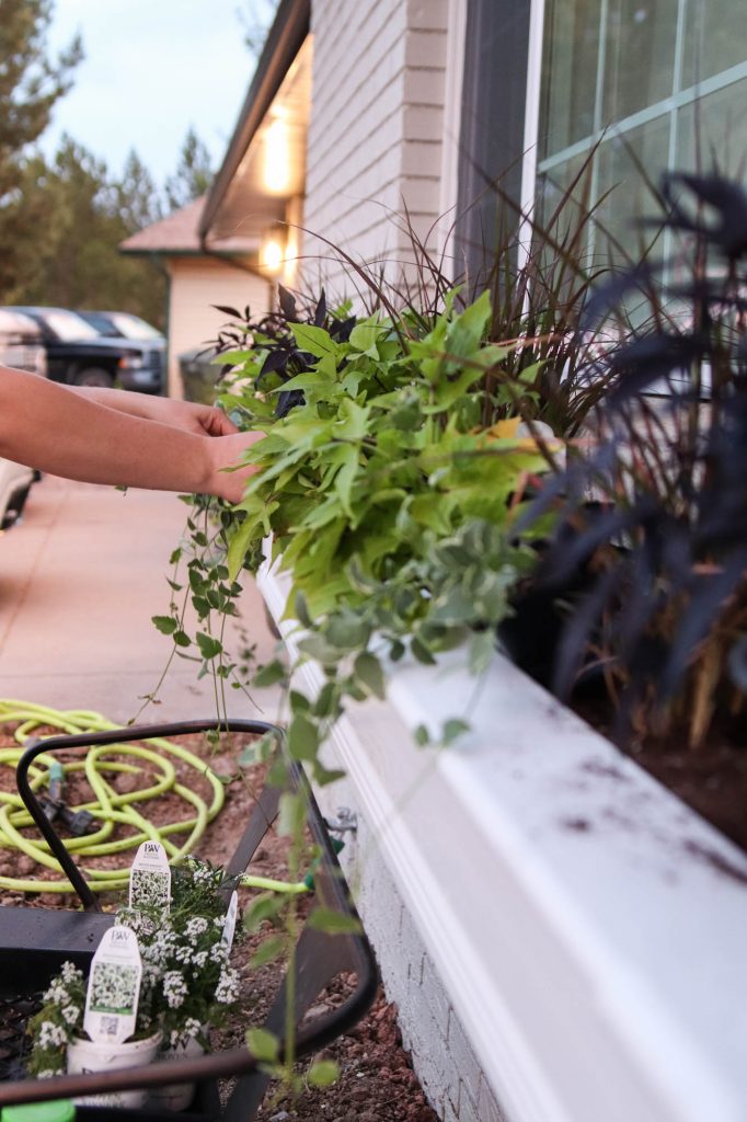 Adding A Front Window Box by The Wood Grain Cottage