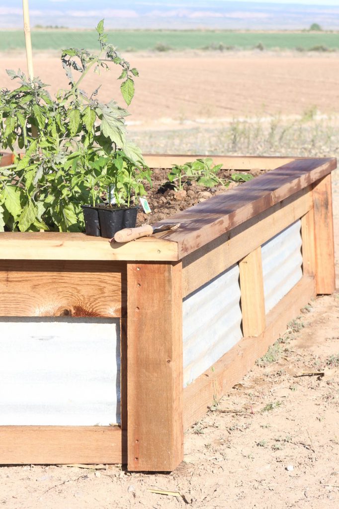 A picture of a different garden box. 