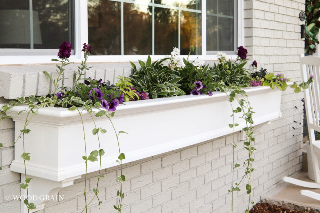 A picture of our front porch window box. 
